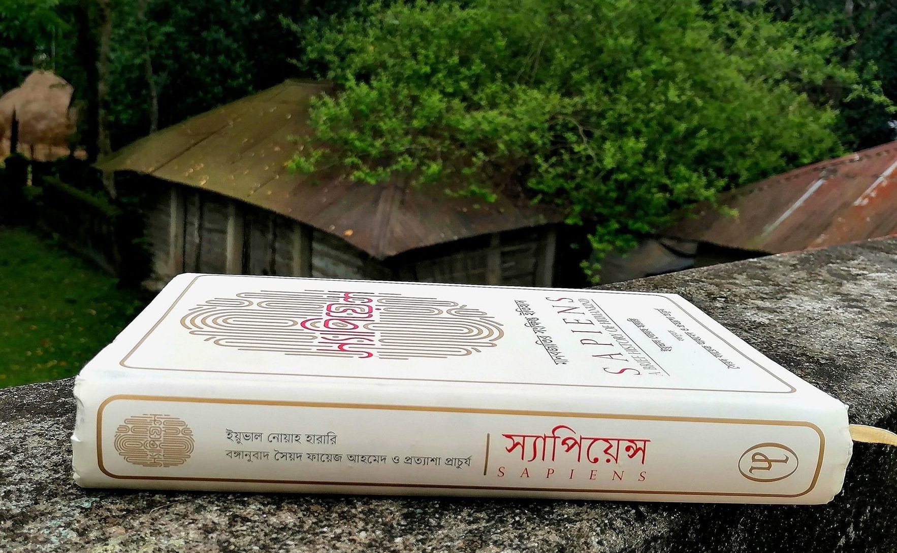 মানুষের ক্রমাগত উৎপত্তি ও বিকাশের রহস্য- স্যাপিয়েন্স